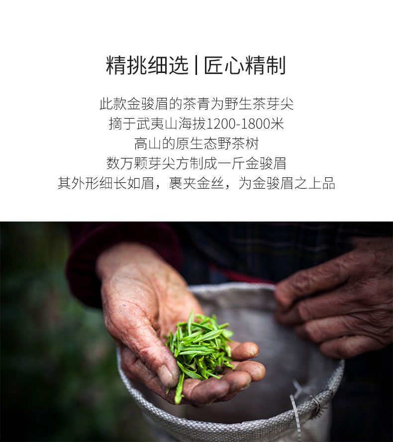 Gojyo　茶道具　健銘　金蒔絵葉文　棗　時代箱　V　R5535 茶道具 健銘 金蒔絵葉文 棗 時代箱 V R5535 漆芸