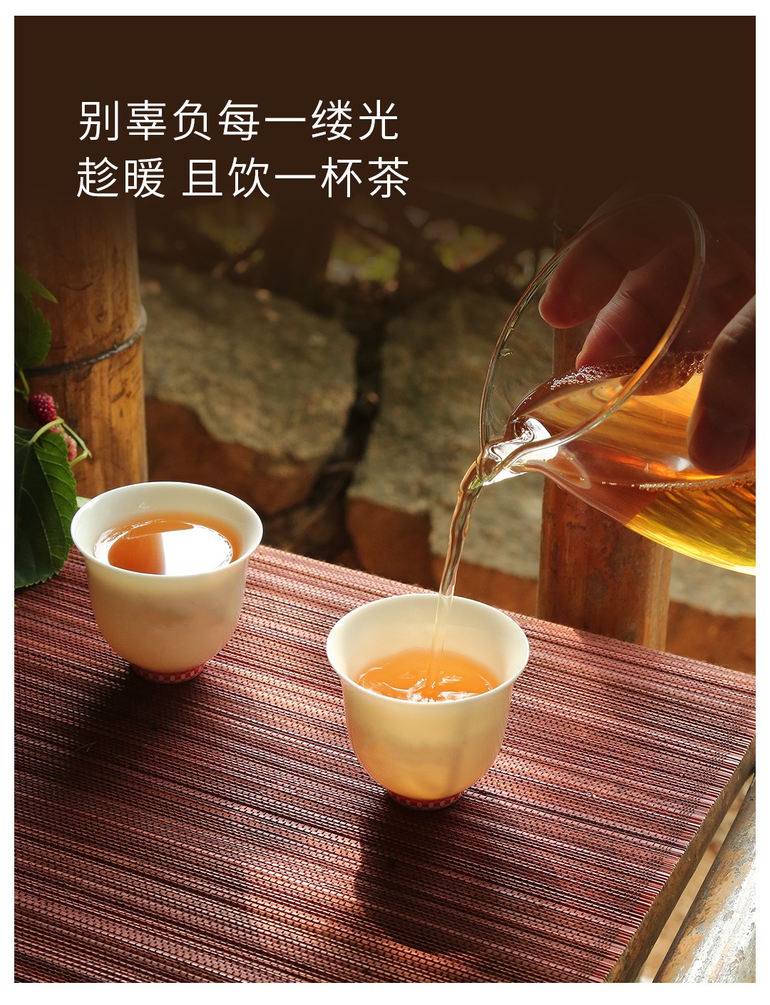 山国老茶·陈年白茶1199【茶叶_茶具_茶礼_采购_批发_进货_正品】-优茶联